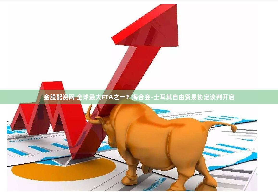 金股配资网 全球最大FTA之一？海合会-土耳其自由贸易协定谈判开启