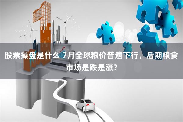 股票操盘是什么 7月全球粮价普遍下行，后期粮食市场是跌是涨？