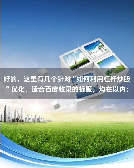 好的，这里有几个针对“如何利用杠杆炒股”优化、适合百度收录的标题，均在以内：